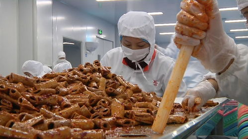 揭秘零食工廠 走進良品鋪子荊州生產基地，見證美味誕生之旅